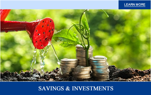 Savings and Investment